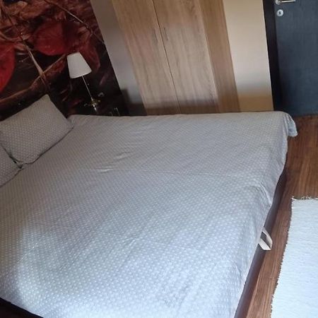 Apartment Vila Sandra Ζλάτιμπορ Εξωτερικό φωτογραφία